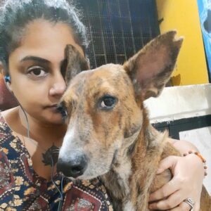 Animal Communication | Become an Animal Communicator with Jalesmina