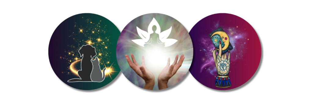 Animal Communication | Become an Animal Communicator with Jalesmina