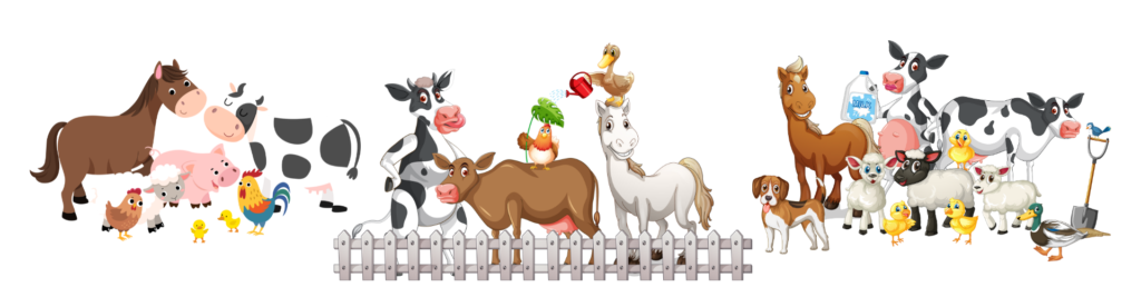 Jalesmina | Animal Communication | About Us | Team Jalesmina