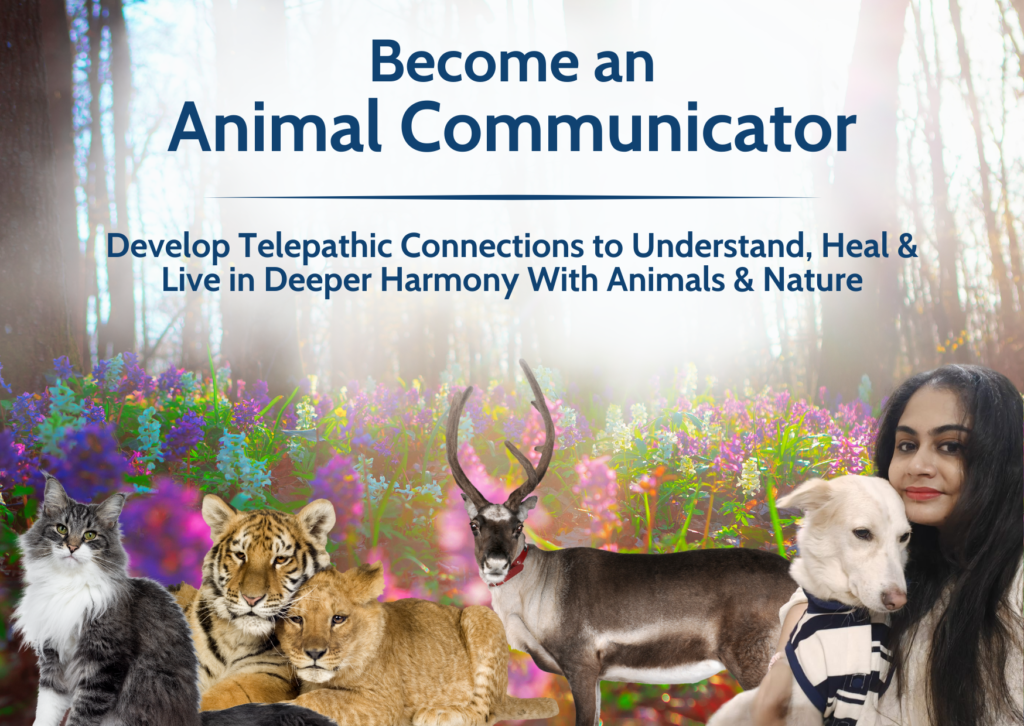 Animal Communication | Become an Animal Communicator with Jalesmina