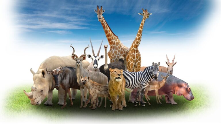 Unlocking the Secrets of Animal Communication: The Power of Telepathic Connection